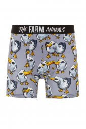 Farm Animals Seagull Desenli Boxer thumbnail 1