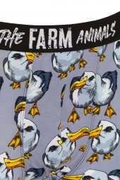 Farm Animals Seagull Desenli Boxer thumbnail 3