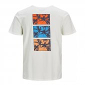 Jack&Jones Jorystays Cloud Erkek T-shirt thumbnail 2