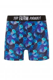 Farm Animals Jellyfish Desenli Boxer thumbnail 1
