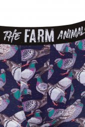 Farm Animals Pigeon Desenli Boxer thumbnail 3