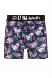 Farm Animals Pigeon Desenli Boxer thumbnail 1