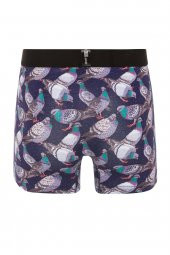 Farm Animals Pigeon Desenli Boxer thumbnail 2