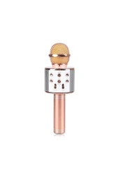 Ws-858 Karaoke Mikrofon thumbnail 2