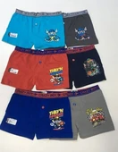 Tutku 6lı Erkek Çocuk Elastan Baskılı Boxer 0253 thumbnail 1