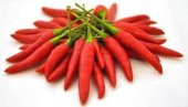 ARNAVUT BİBERİ TOHUMU thumbnail 2