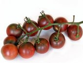 BLACK CHERRY TOHUMU thumbnail 2