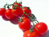 DELICIOUS SALKIM CHERRY DOMATES 25 TOHUM thumbnail 2