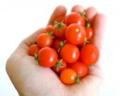 TİNY TİM CHERRY DOMATES thumbnail 2
