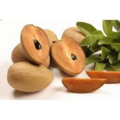 SAPODİLLA MEYVESİ TOHUMU thumbnail 2
