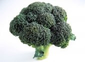 Tohum Dünyam 20 ADET SPROUTING BROCCOLI TOHUMU thumbnail 2