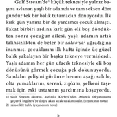 Yaşlı Adam Ve Deniz - thumbnail 3