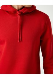 Basic Kapşonlu Sweatshirt thumbnail 11
