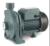 Rainpump CPM158 Santrafuj Pompa (32m) thumbnail 1