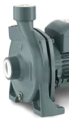 Rainpump CPM158 Santrafuj Pompa (32m) thumbnail 2