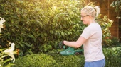 Bosch EASYHEDGECUT 18-45 Solo thumbnail 5
