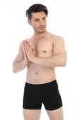 Çift Kaplan Erkek Elastanlı Boxer 810 thumbnail 2