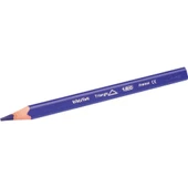 Bic Kids Evolution Üçgen Jumbo Kuru Boya Kalemi 12'li Kutu thumbnail 4
