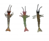 FLADEN 10CM KARİDES SİLİKON 3 LÜ SET thumbnail 1