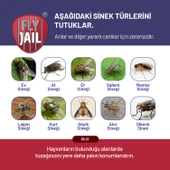 2 Adet Fly Jail - M Karasinek Tuzağı thumbnail 5