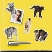 Mustard Sinirli Kediler Magnet thumbnail 3