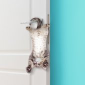 Mustard Cat Asılabilir Notluk thumbnail 6