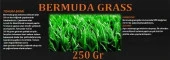 Bermuda Çimi (Ayrık Otu)Tohumu 250 gr thumbnail 1