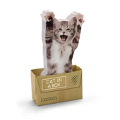 Mustard Cat in a Box thumbnail 3