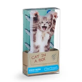 Mustard Cat in a Box thumbnail 2