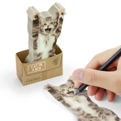 Mustard Cat in a Box thumbnail 1