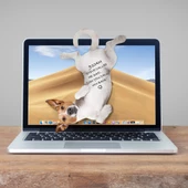 Mustard Dog Asılabilir Notluk thumbnail 3