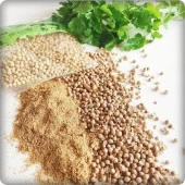 Kişniş Tohumu (Aş Otu) 10 Gram thumbnail 3