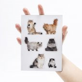 Mustard Cat Magnet thumbnail 4