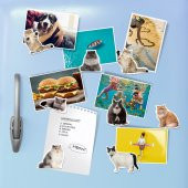 Mustard Cat Magnet thumbnail 1