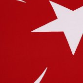 Buket Türk Bayrağı (400X600) thumbnail 1