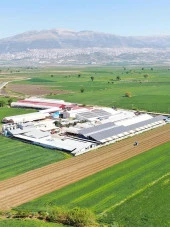 Sade Yağ 300 Gr thumbnail 3