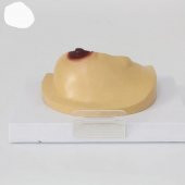 Göğüs Maketi Model 42 thumbnail 3