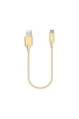 Ttec AlumiCable Type-C Kablo Altın 30cm - 2DK26A thumbnail 2