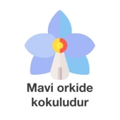 Deep Fresh Maxi Pack Islak Mendil Orkide 144 Yaprak thumbnail 4
