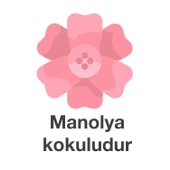 Deep Fresh Maxi Pack Islak Mendil Manolya 144 Yaprak thumbnail 4