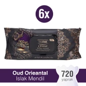 Deep Fresh Oriental Islak Mendil Oud 6 x 120 Yaprak thumbnail 1