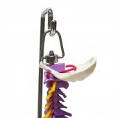 Omurga Maketi 45 cm Model 14 thumbnail 2