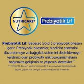 Bebelac Gold 2 Çocuk Devam Sütü 350 Gr thumbnail 4