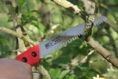 Ars Cam 24LN Kılıflı Budama Testeresi 24 Cm thumbnail 5