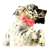 KEDİ VE KÖPEKLER İÇİN PAPYON  PEMBE thumbnail 5