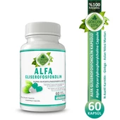 Alfa Gliserofosfokolin Kapsül (ALPHA GLYCERYLPHOSPHORYLCHOLİNE CAPSULE) 60 Adet thumbnail 1