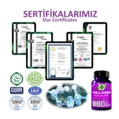 Kolajen Kapsül (Collagen Capsule) 60 Adet Kapsül thumbnail 5