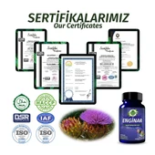 Enginar Kapsül (Artichoke Capsule) 60 Adet thumbnail 5