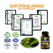 Gurmar Kapsül (Gymnema Capsule) 60 Adet thumbnail 5