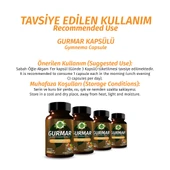 Gurmar Kapsül (Gymnema Capsule) 60 Adet thumbnail 4